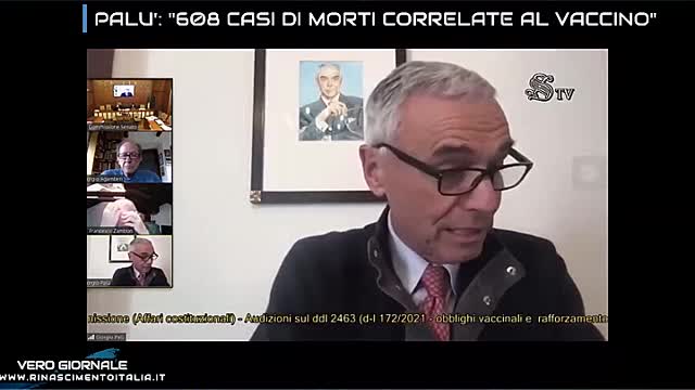 PALU', 608 CASI DI MORTI CORRELATE AL VACCINO - VERO GIORNALE 09.12.2021