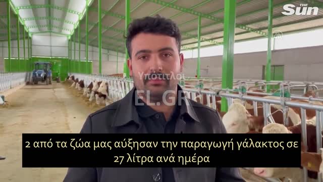VIRTUAL REALITY ΣΑΝ ΤΙΣ ΓΕΛΑΔΕΣ.