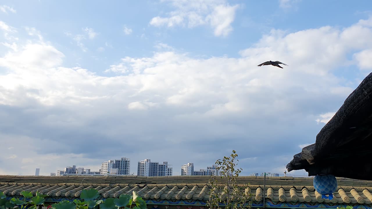 the roof of a temple in the city