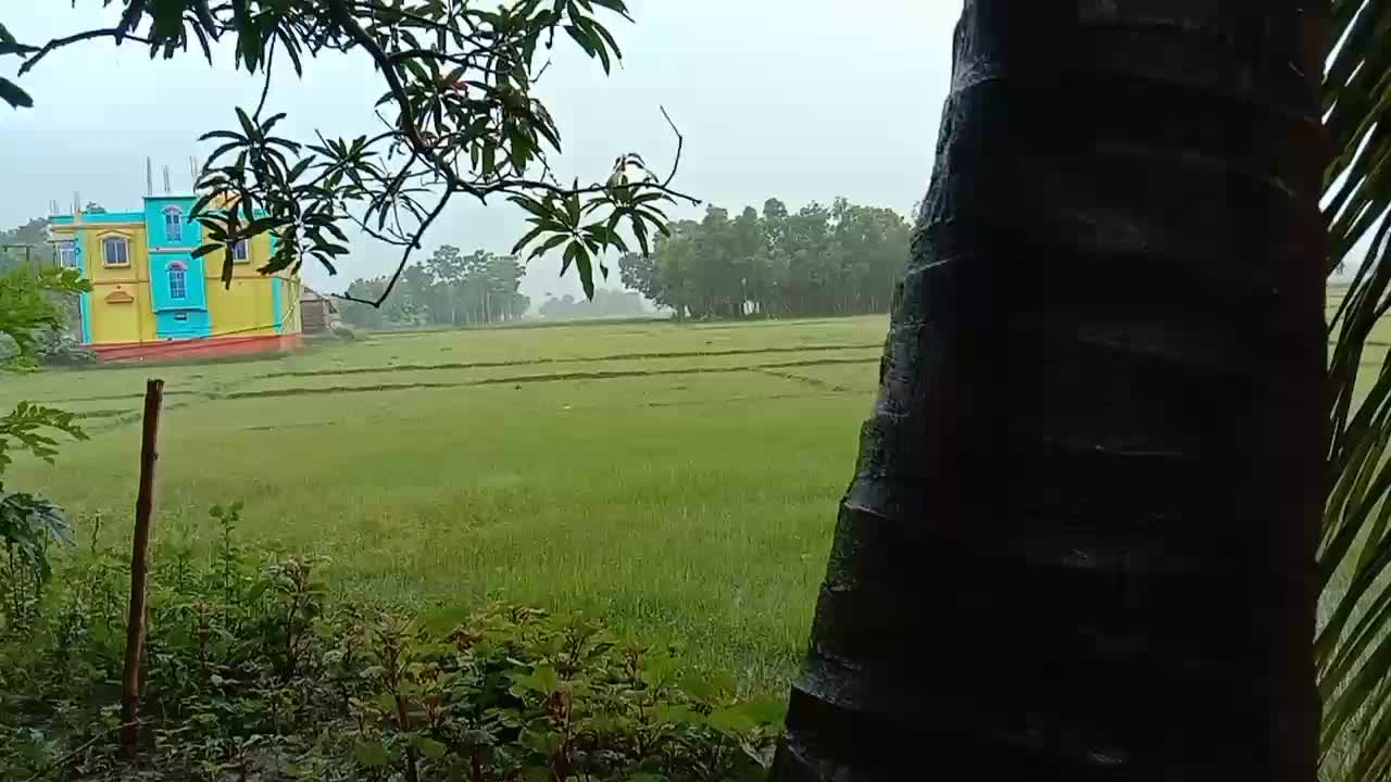 When i am in my farm house 🏘️