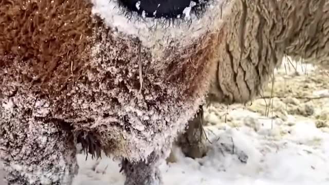 🍃 Any comfort is not as effective as what you see through.