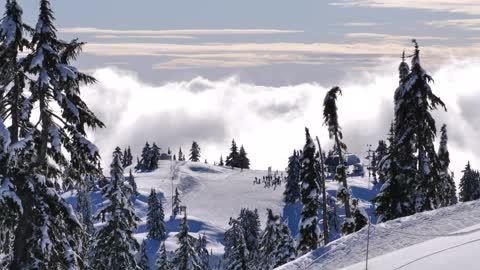 Edge view of the top of a mountain