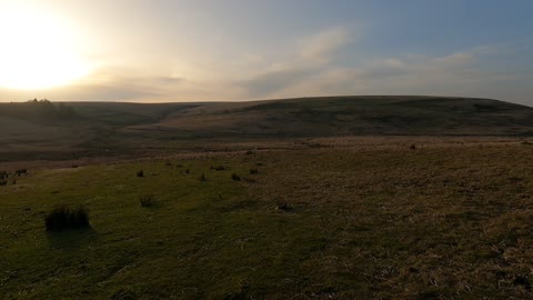 Dartmoor scenery.