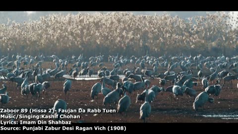 Zaboor 89 (Hissa 2) - Faujan Da Rab Tuen Hain