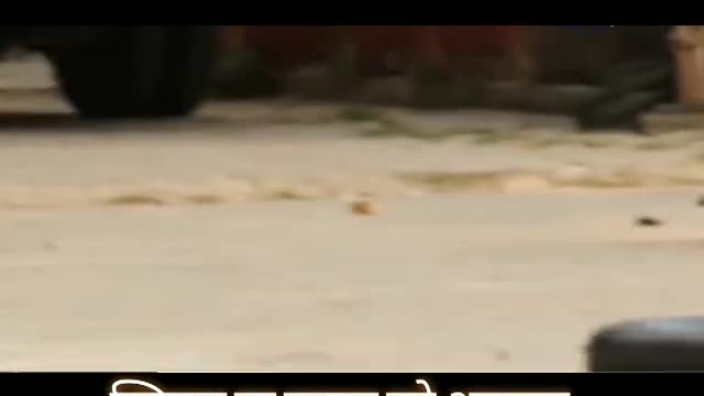 Speaker vs dog