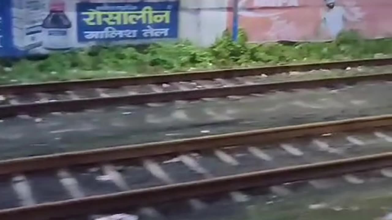 DOG LYING BY THE TRACKS NOT MOVING. BANDRA-MAHIM #cat #dog #catlover #doglover #animals #instastrays