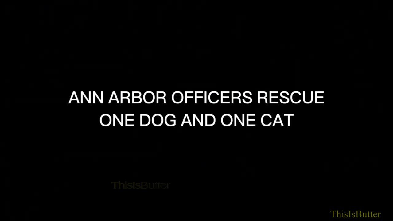 Ann Arbor Police Rescue Pets from Burning House