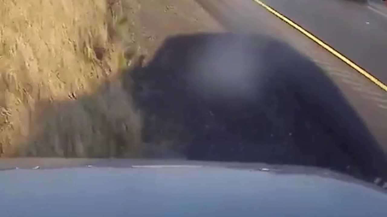 A Freak Accident in a Quicky Dash Camera