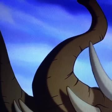 Why you always Lion..