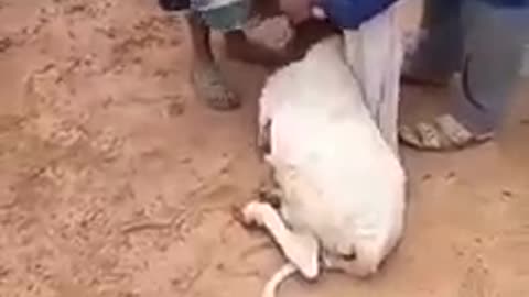 Oque vai separar estes dois?😂