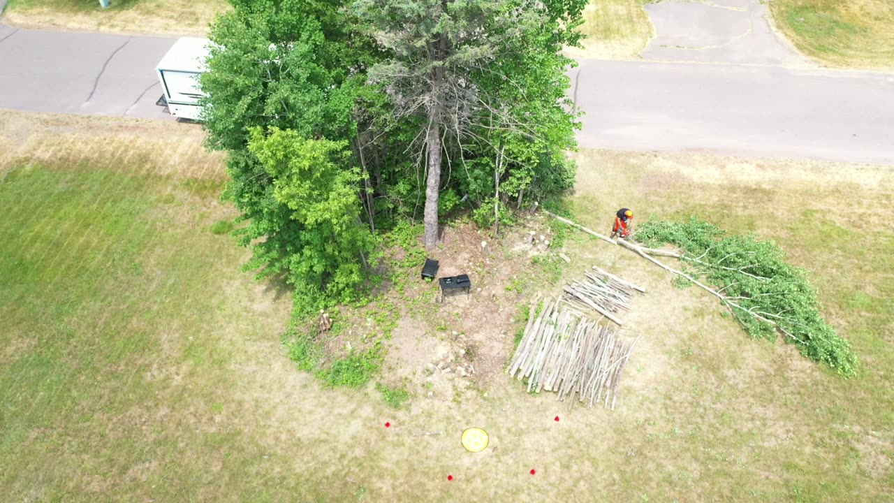 RMC30 Tree Clearing Update by Drone