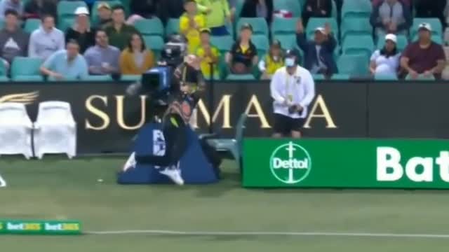 What A CATCH STEVEN SMITH🤭🤭 SHOCKED AUSTRALIAN CRICKETER
