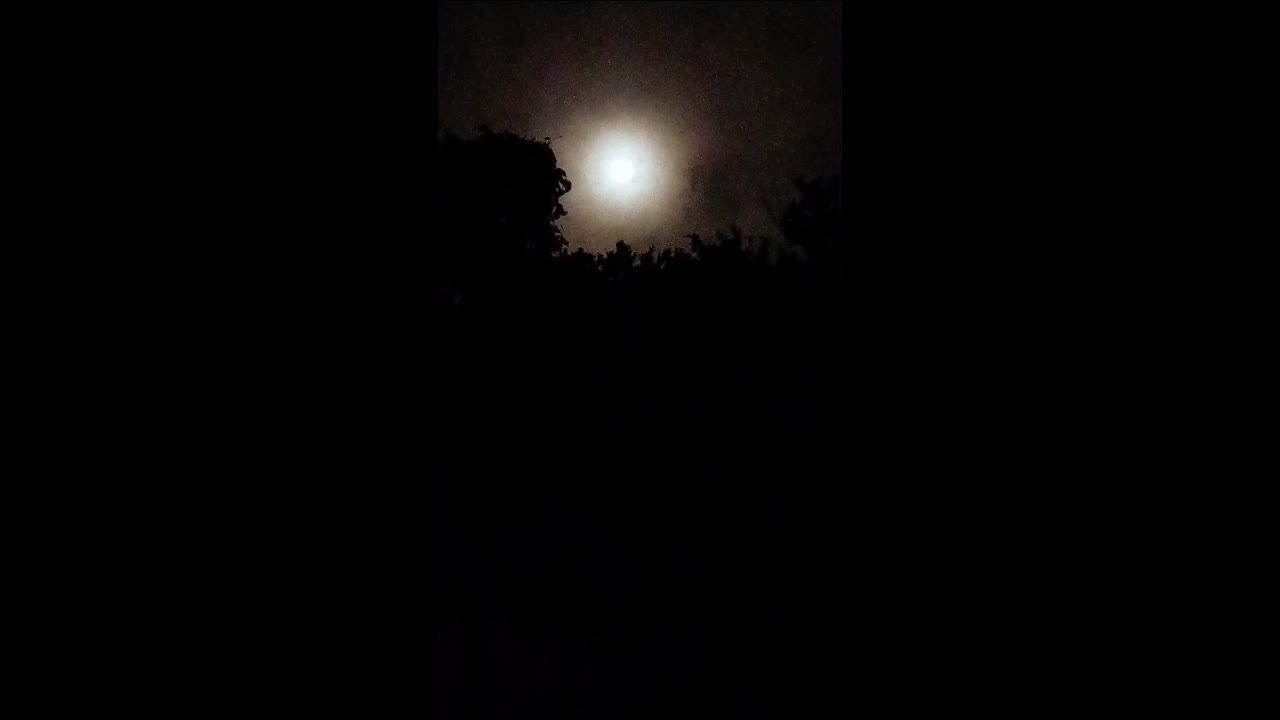 Moon on the forest