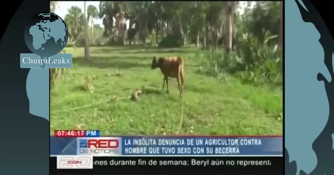 HOMBRE SE QUEJA DE QUE LE VIOLAN A SU BECERRA