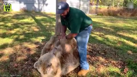 Animals Reunited With Owners After Years !!!!!!!!!!