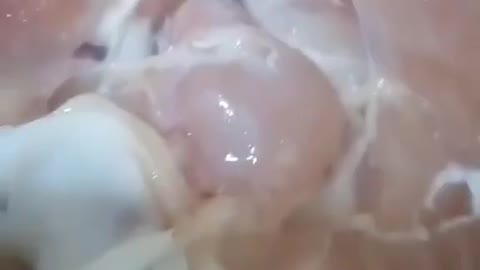 O QUE ESTÃO FAZENDO NO FRANGO?