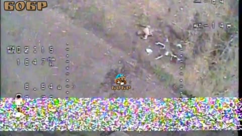 Robotine_11.08.2023