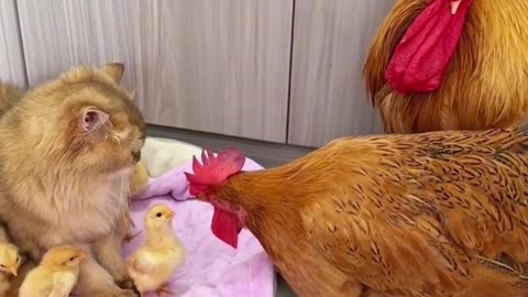 Amazing 👏 🙀 😯 😮 and ☺ ❤ 😌 the best 👌 👍