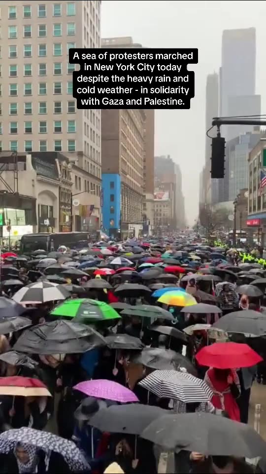 New York stepping out in the rain