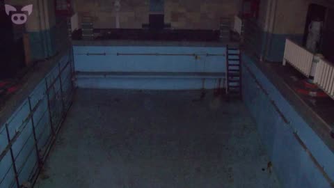 This Scary Footage Will Make You Scream!