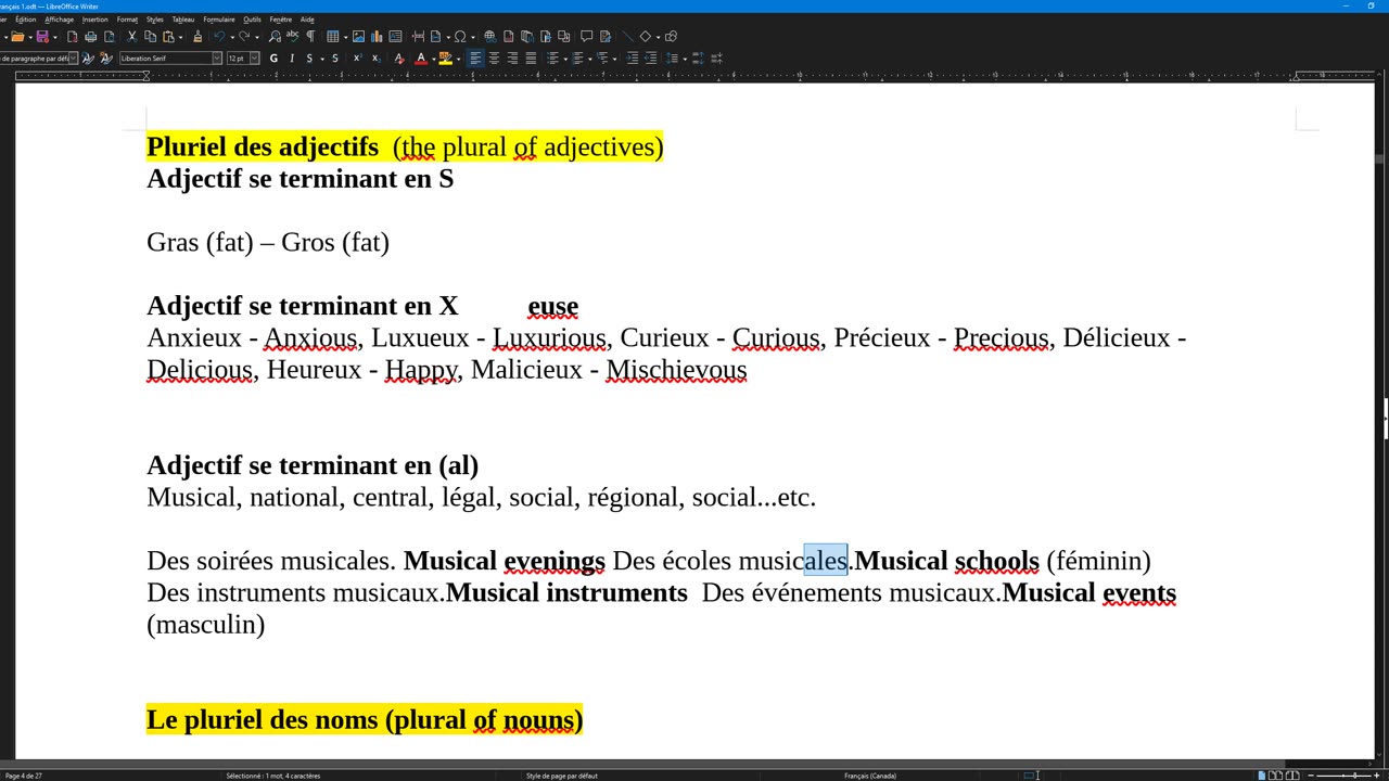 French 4 (complement) plural of nouns and adjectives