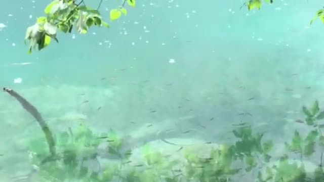 In the sweet sun shower