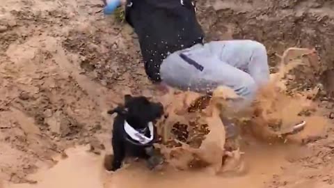 The end 😂😂😂 #funny #fails #shorts #reels #viral #fail #humorexpose