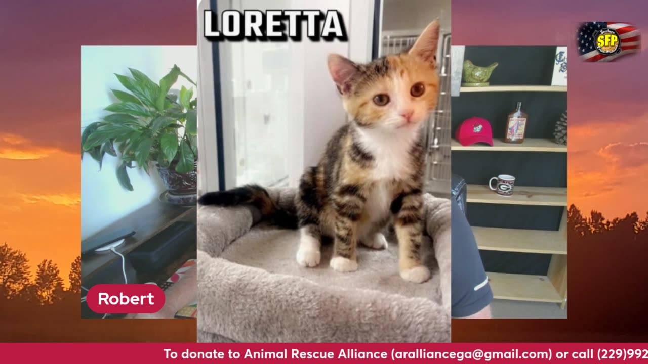 Pet of the week