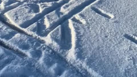 Traxxas Snow Angels