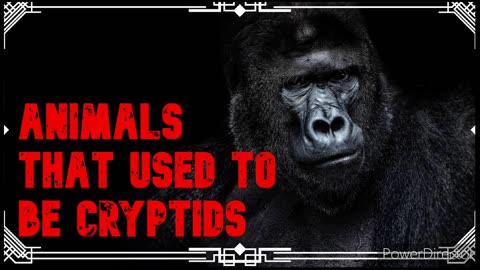 animals that used to be cryptids