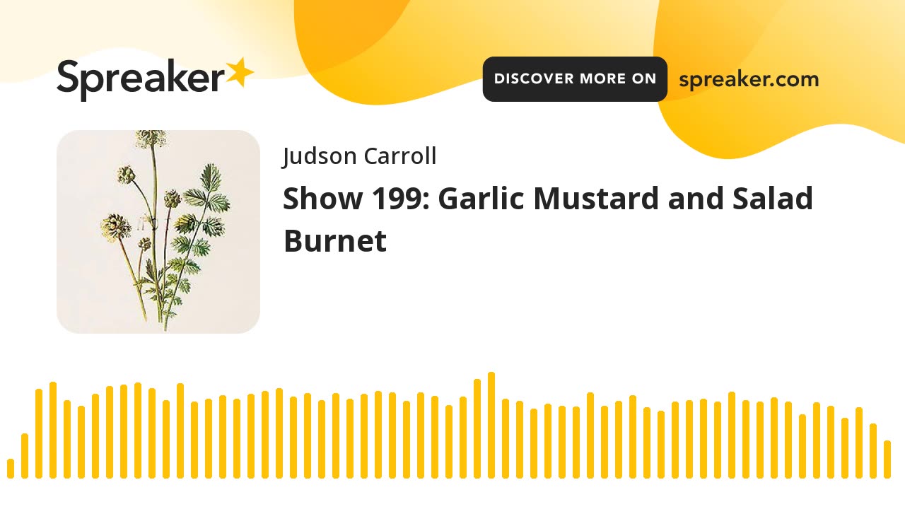 Show 199: Garlic Mustard and Salad Burnet