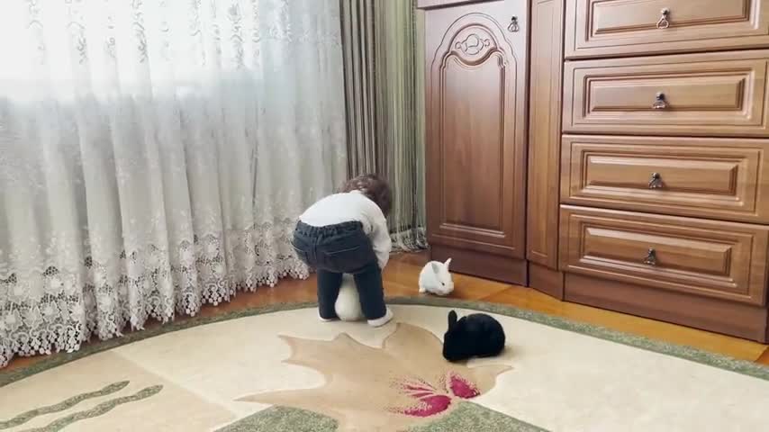 Cute_Baby_Meets_New_Baby_Bunnies_for_the_First_Time