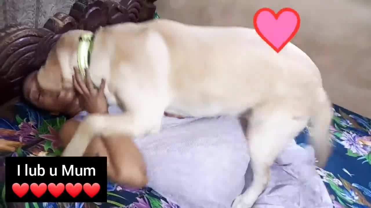 Mum is tired after long day. But Coco need his cuddles. Watch how gets his loving from Mum.