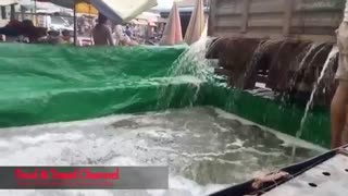 Wow! Amazing Catch Big Fish by Hand in Cambodia - How to Catch A Lot of Snake head Fish