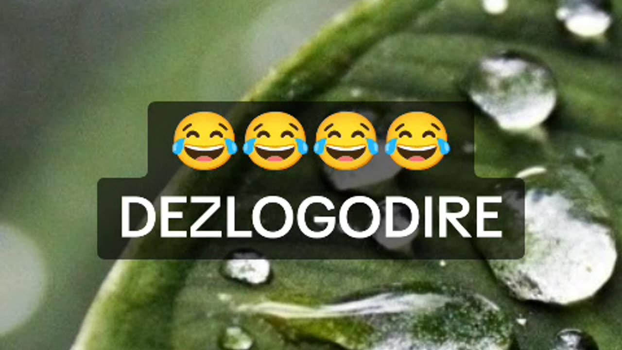 Dezlogodire