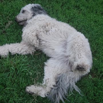 The Struggle is Real With This One