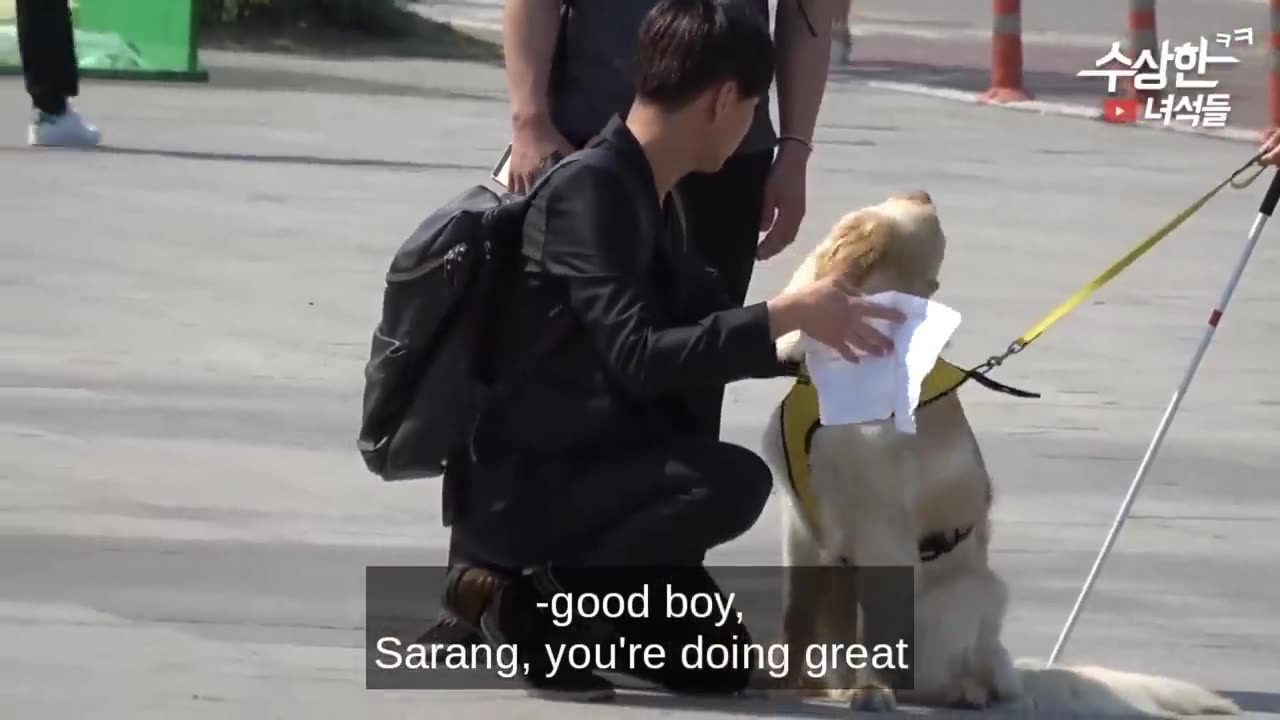 Funny Video part. 2
