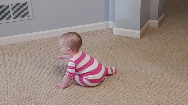 Josie scooting around the house