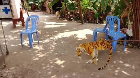 Wow Nice Prank! Fake Tiger Prank Dog Run So Fun.......!