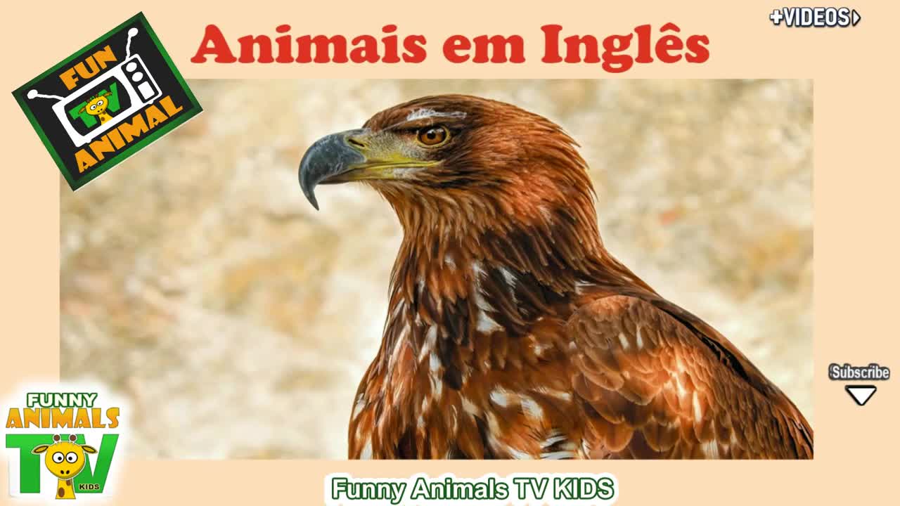 Animals in portuguese and english