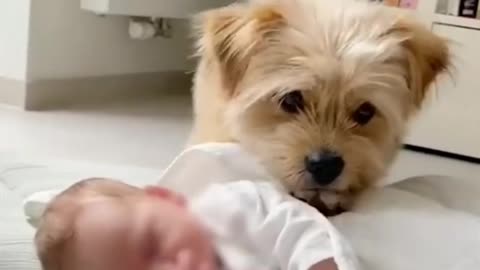 Real love❤😘 dog and baby ❤🥰