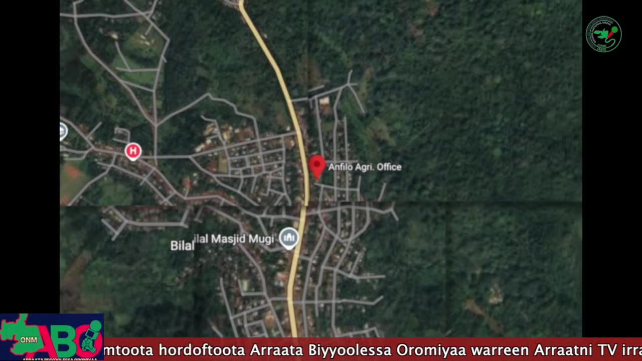 Oduu Waaree ONM-ABO Onkoloolessa 21-2024 itti dhiyaadhaa!