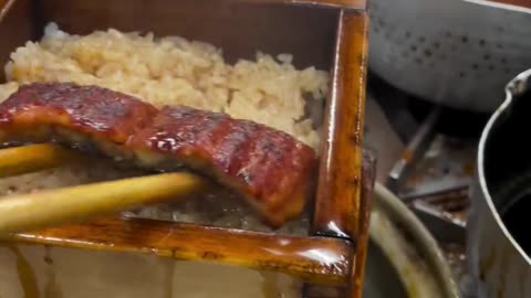 Traditional Japanese food eel, looks very appetizing