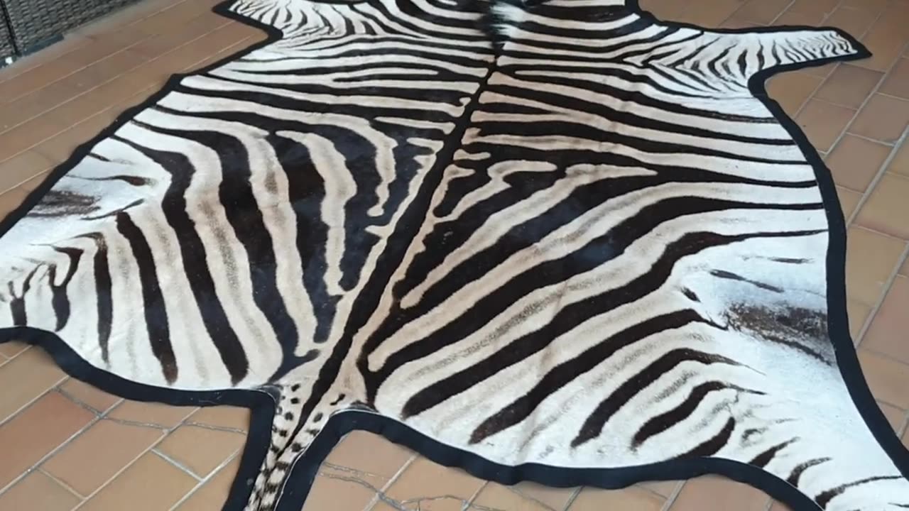 Felted Zebra Skin for client no2