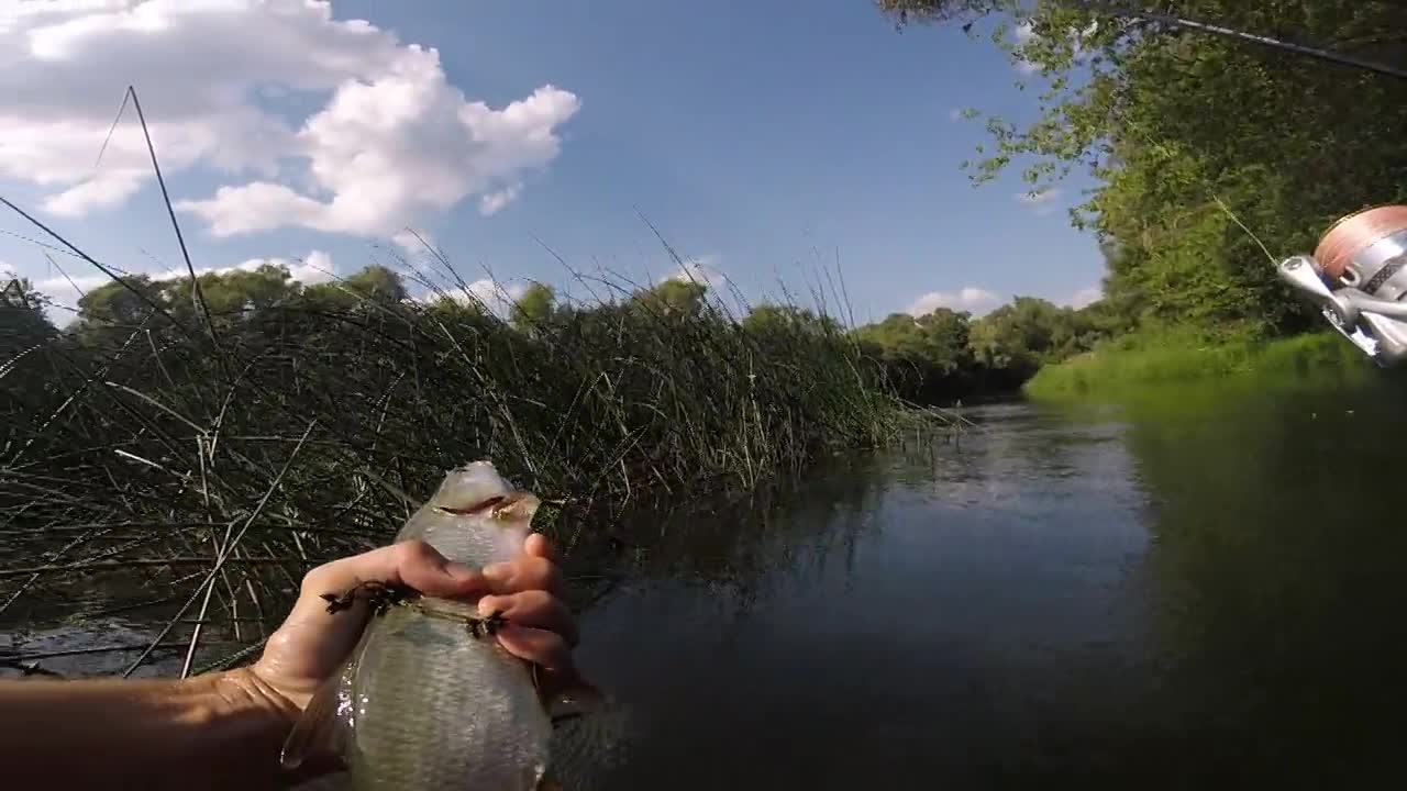 Spinning fishing