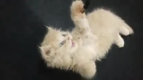 😍😍