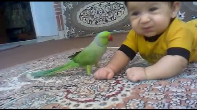 Baby play