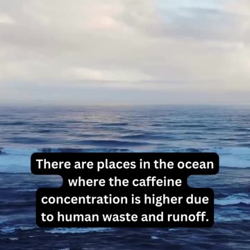 I’m going to need that much coffee to get through this week…