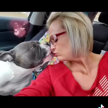 Sugar my best friend