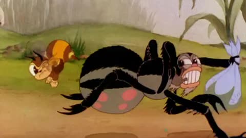 MGM Cartoons - 1935x10 - Honeyland